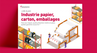 Industrie papier carton, prévention des risques industriels