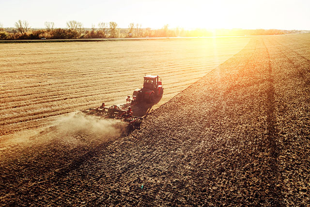 Assurances industrie agroalimentaire et coopérative agricole